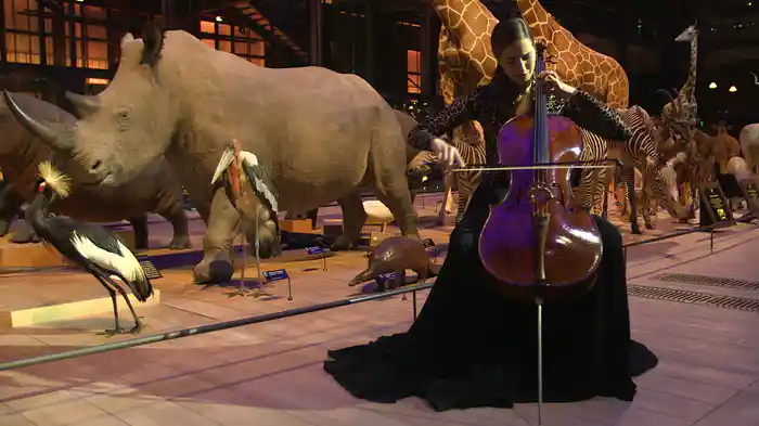 Dvorák: Gypsy Melodies, Op.55, B. 104: 4. Songs My Mother Taught Me (Adapt. For Cello And Orchestra) (At Muséum national d'Histoire naturelle / Grande Galerie de l’Évolution)