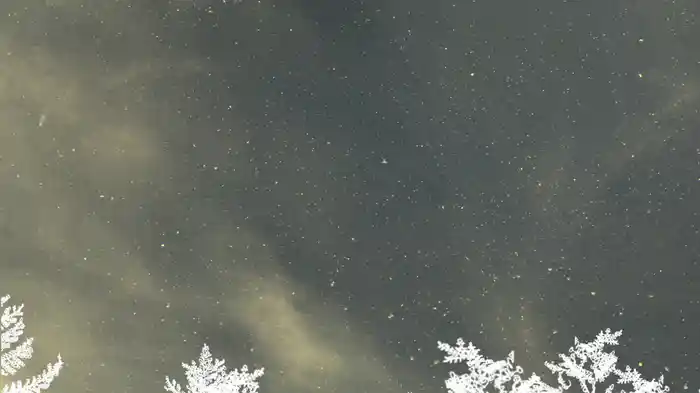 Carol of the Bells (Lyric Video)