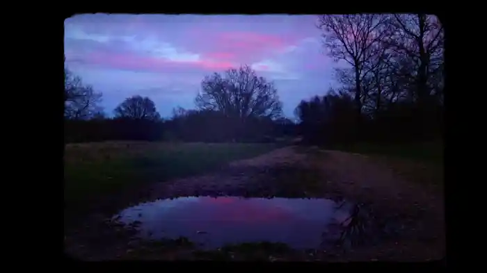 A Place We Once Walked