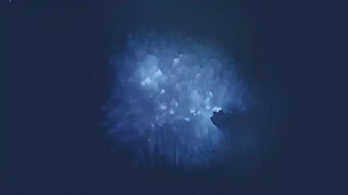 Constellation No. 3 (Visualizer)