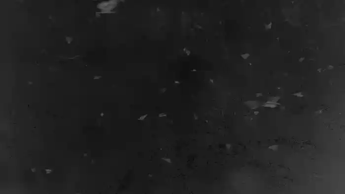 Night Scene With Moon (Visualizer)