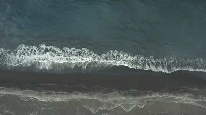 Nightbird (Visualizer)