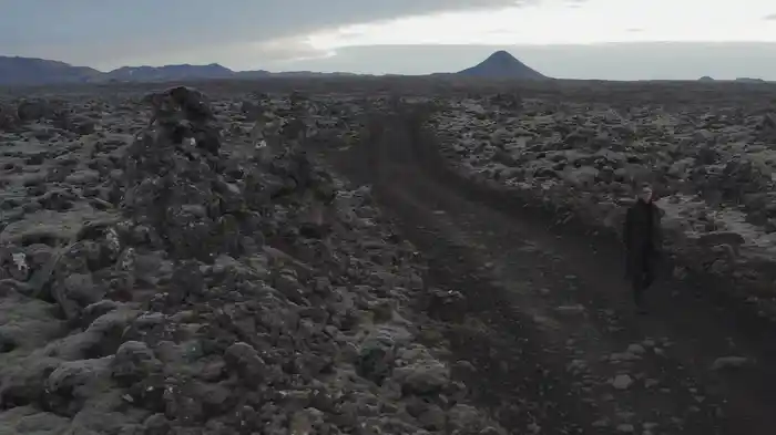 Bird as Prophet (Visualizer)