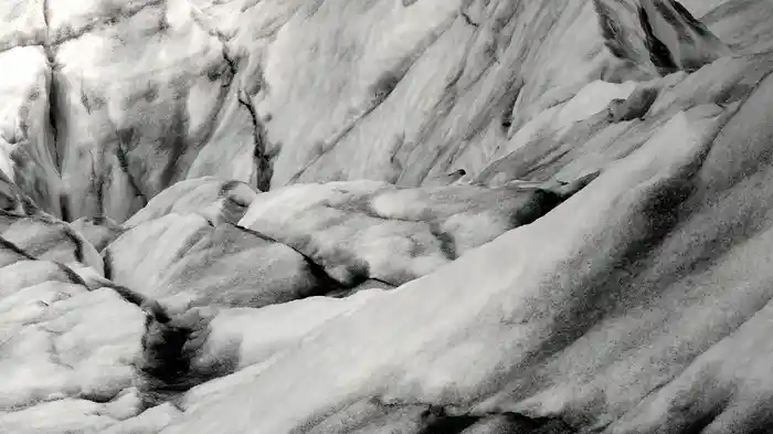 Mondblume (Visualizer)