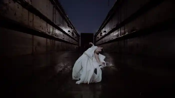 Spiritus Naturae Aeternus