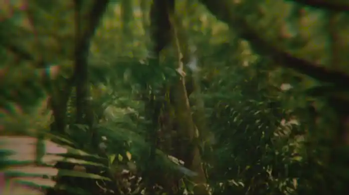 Words and Dreams (Visualizer)