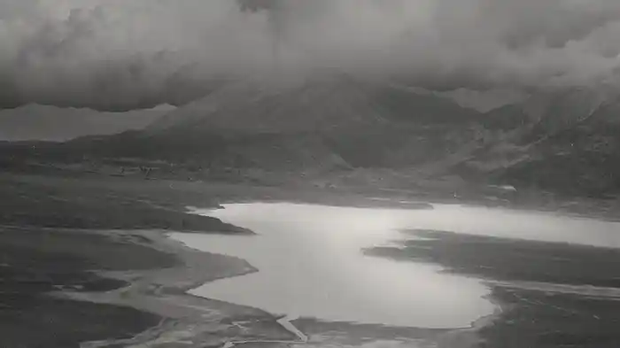 Before Barbed Wire (Visualizer)