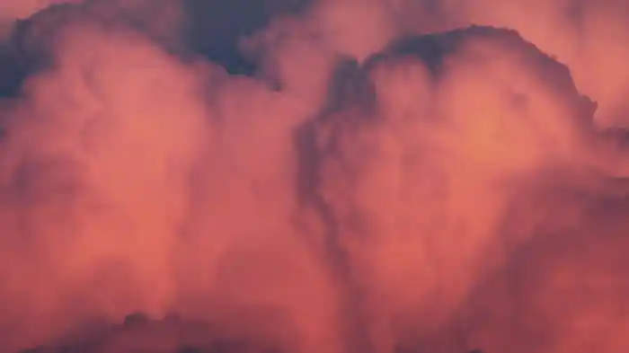 Belli: Sapias (Visualizer)