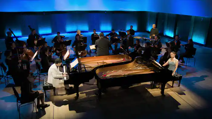 Saint-Saëns: Carnival of the Animals, R. 125: VII. Aquarium