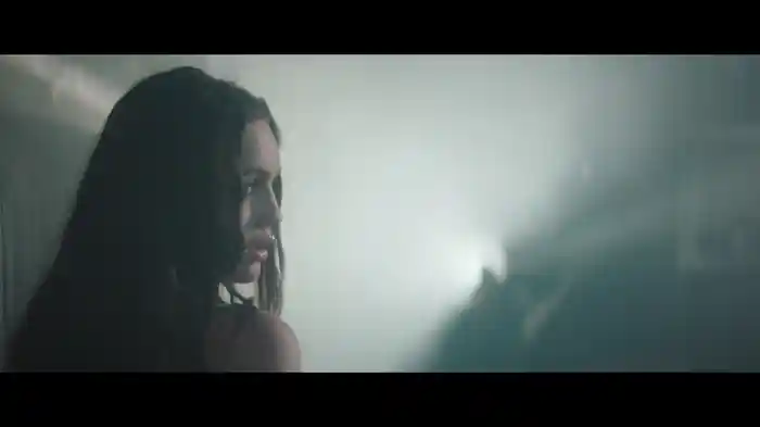 to the grave (official video)