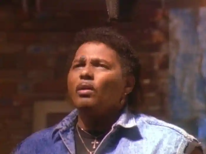 Bird On A Wire (Relaid Audio)