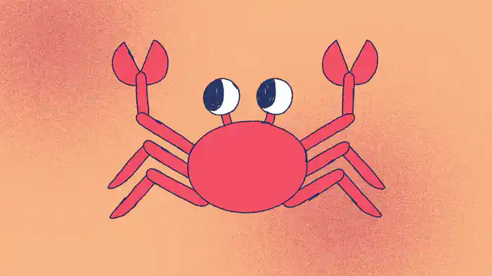 Nuevo Verano (Vídeo Animado)