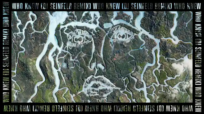 Who Knew? (DJ Seinfeld Remix / Audio)