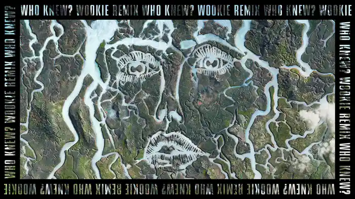 Who Knew? (Wookie Remix / Audio)