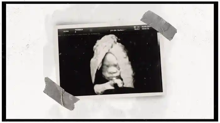 Nyuku (Remix / Visualizer)