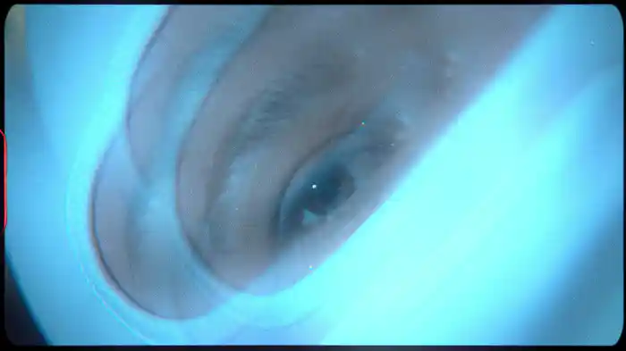 Visionär (Visualiser)