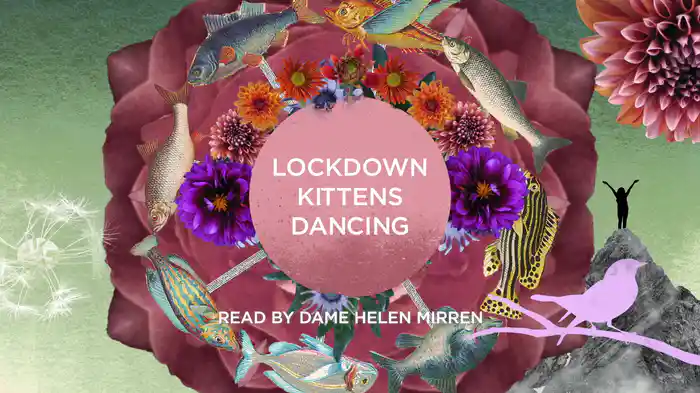 Lockdown Kittens Dancing (Lyric Video)