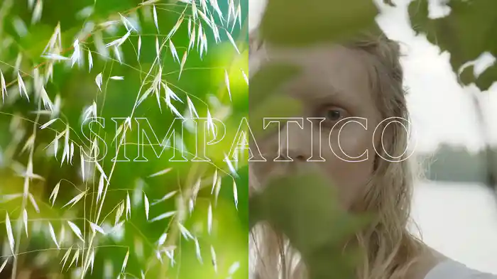 Simpatico (Lyric Video)