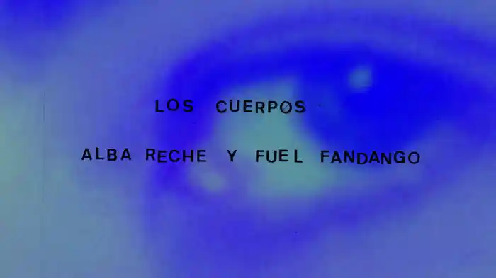los cuerpos (Lyric Video)
