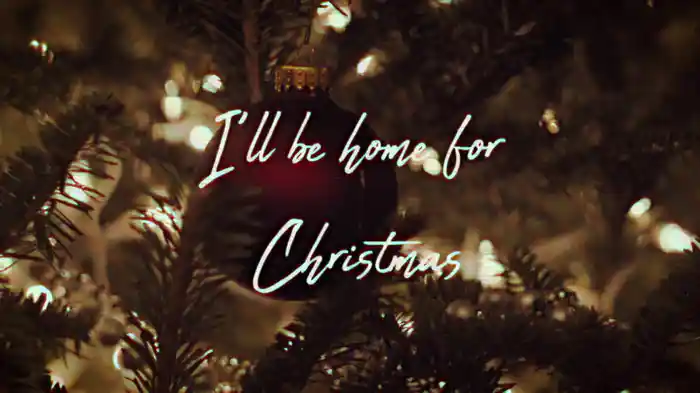 I'll Be Home For Christmas (Fan Video)