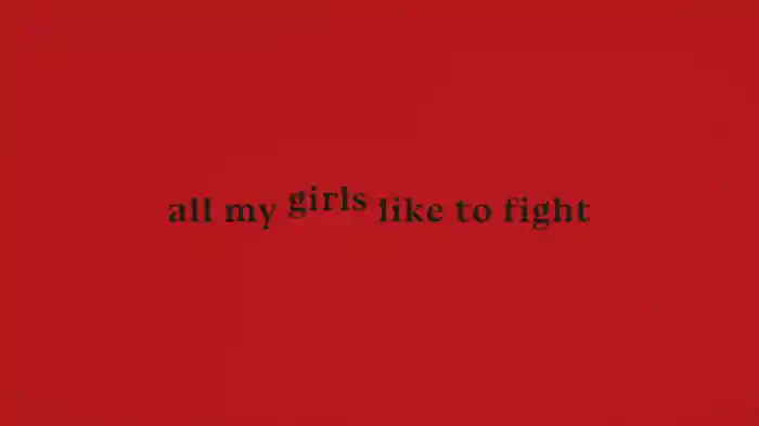All My Girls Like To Fight (Lyric Video)