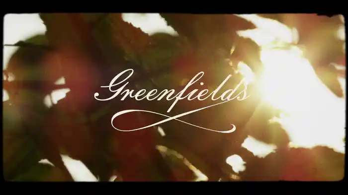 Lonely Days (Visualizer)