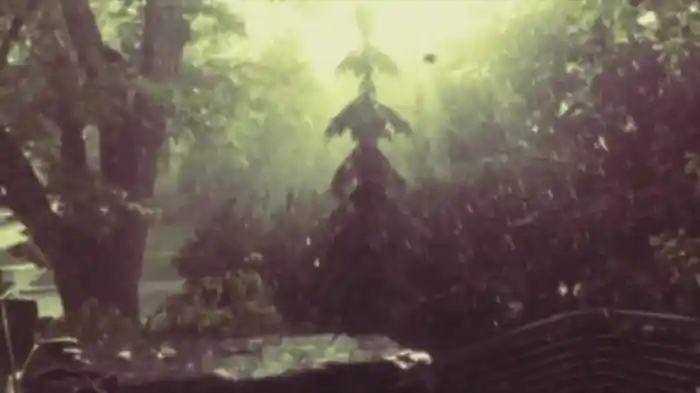 Possessed (Home Video)