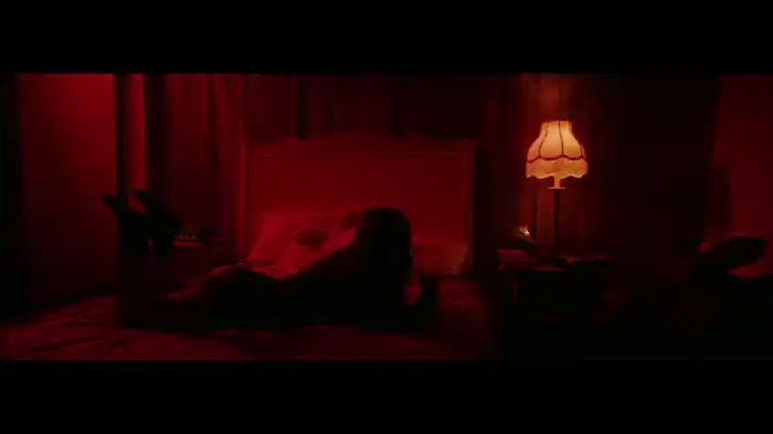 not you (Visualizer)