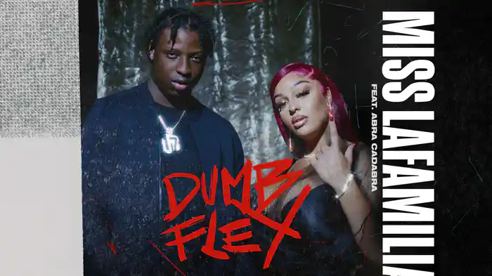 Dumb Flex (Instrumental / Visualiser)