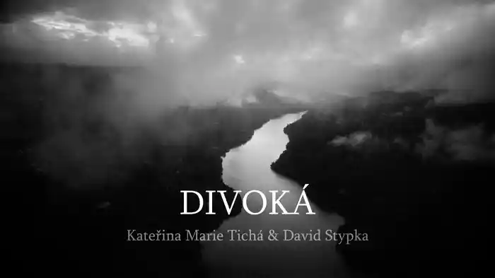 Divoká (Lyric Video)