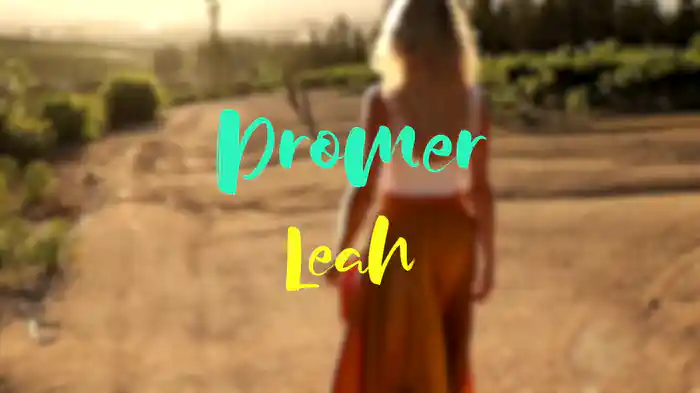 Dromer (Lyric Video)