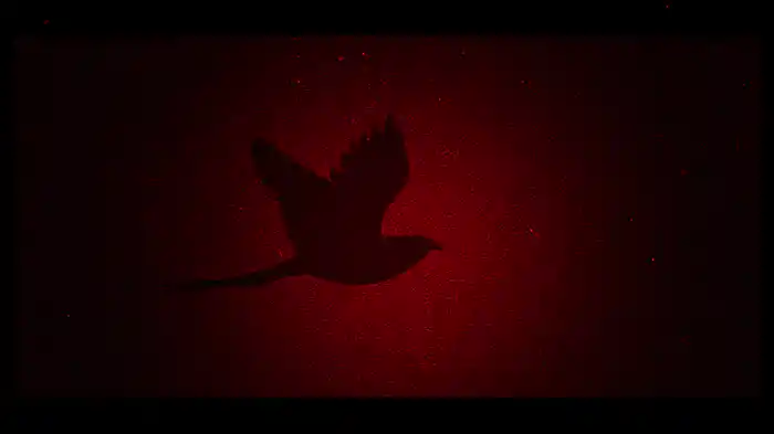 Albatross (Lyric Video)