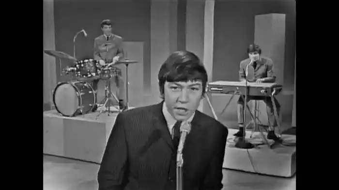 Don't Let Me Be Misunderstood (Live On The Ed Sullivan Show, January 24, 1965)