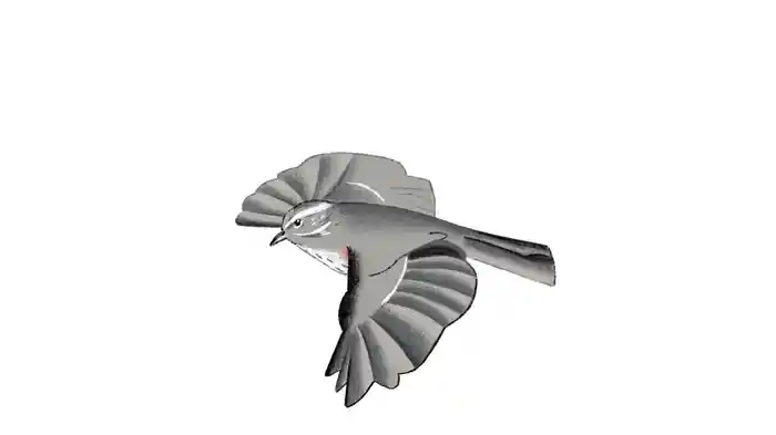 Redwings (Visualiser)