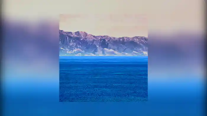 The Stolen Cello (Visualiser / Deluxe)