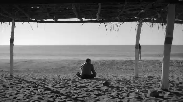 Cada Día Canto Más Y Hablo Menos (Lyric Video)