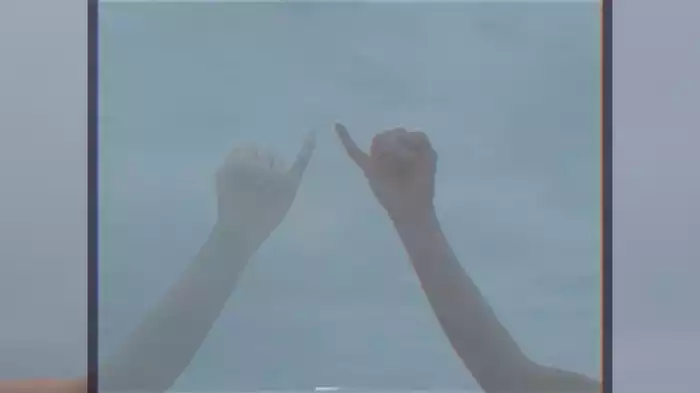 pinky swear