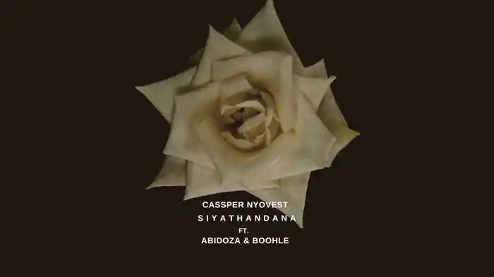 Siyathandana (Visualizer)