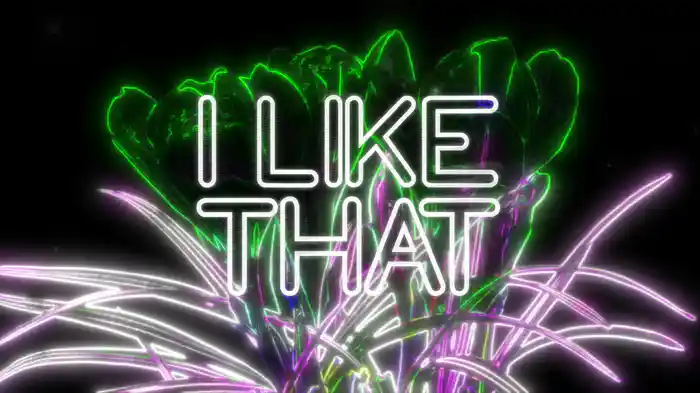 I Like (Lyric Video)