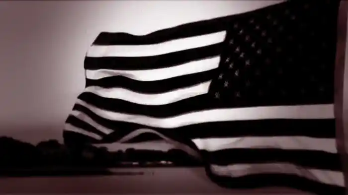 Non-State Actor (Visualiser)