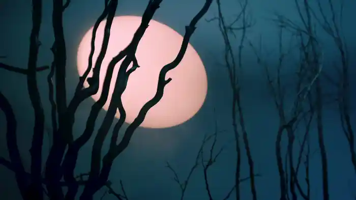 FORSAKEN (Visualizer)