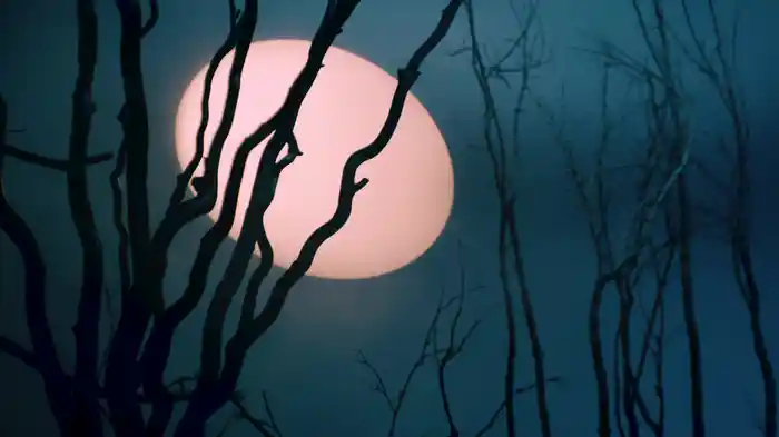 MY WAYS (Visualizer)