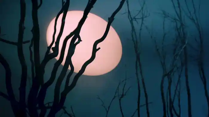 NIGHTFALL (Visualizer)