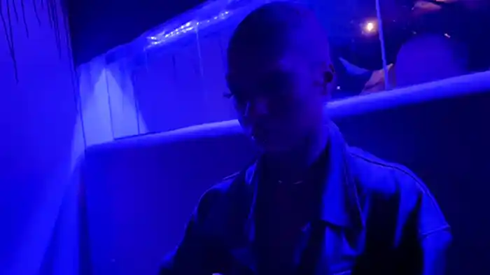 Whilshire & Bixel (Visualizer)