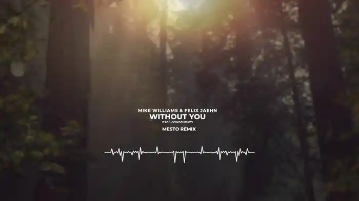 Without You (Mesto Remix / Audio)