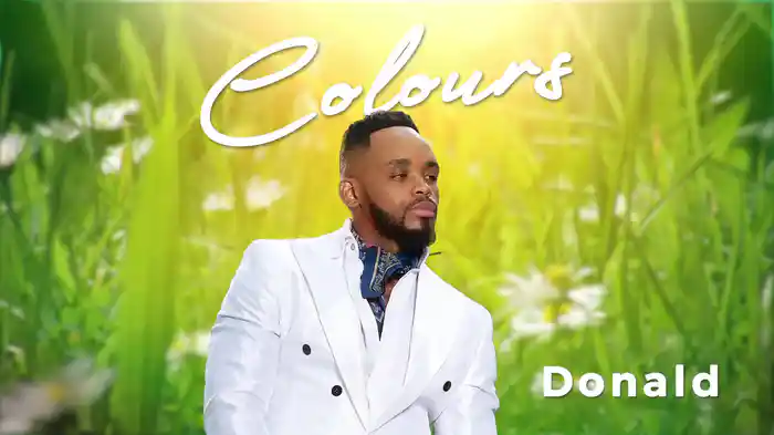 Colours (Visualizer)