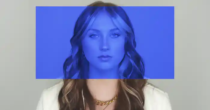 Fake Bitches
