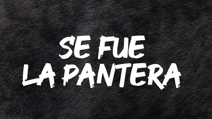 Se Fue La Pantera (En Vivo/LETRA)