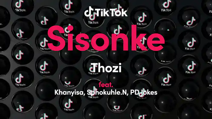 Sisonke (Visualizer)
