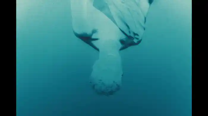 Otra Liza (Lyric Video)